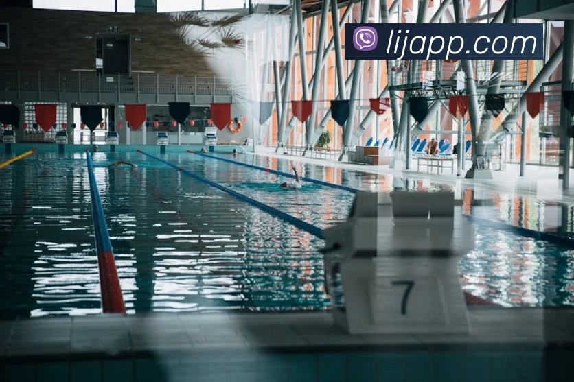 多媒体互动体验